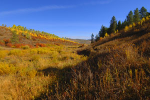 Grouse Creek hills 91